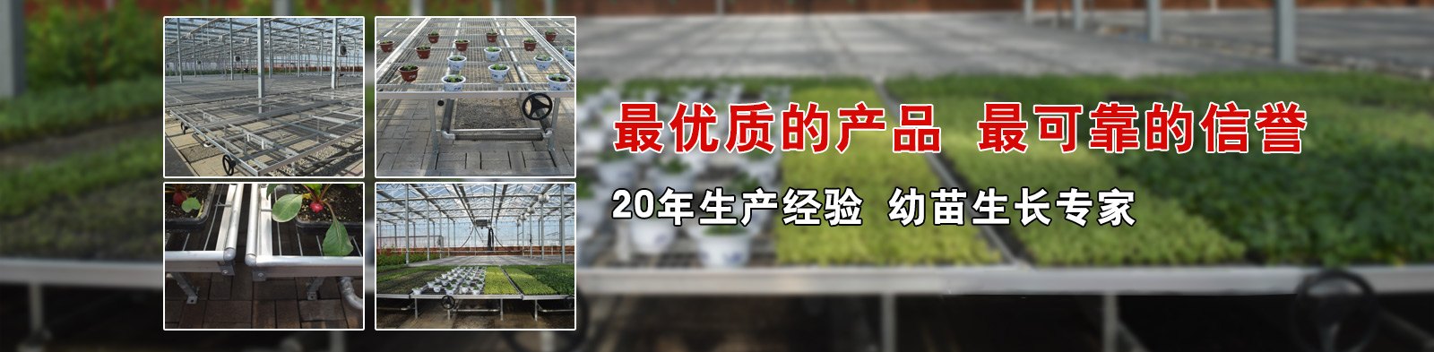 企業(yè)風(fēng)采